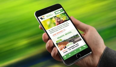 regenwald-startseite