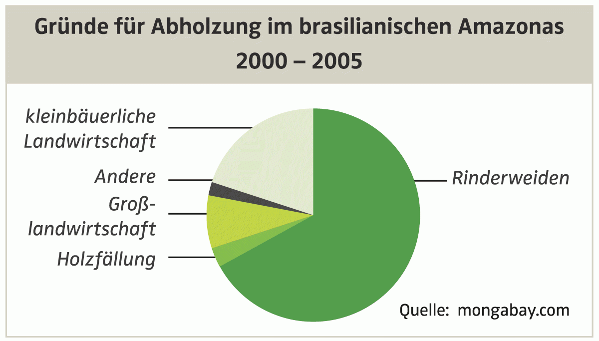 Warum Fleisch und Soja den Regenwald bedrohen – und was Du tun kannst ...