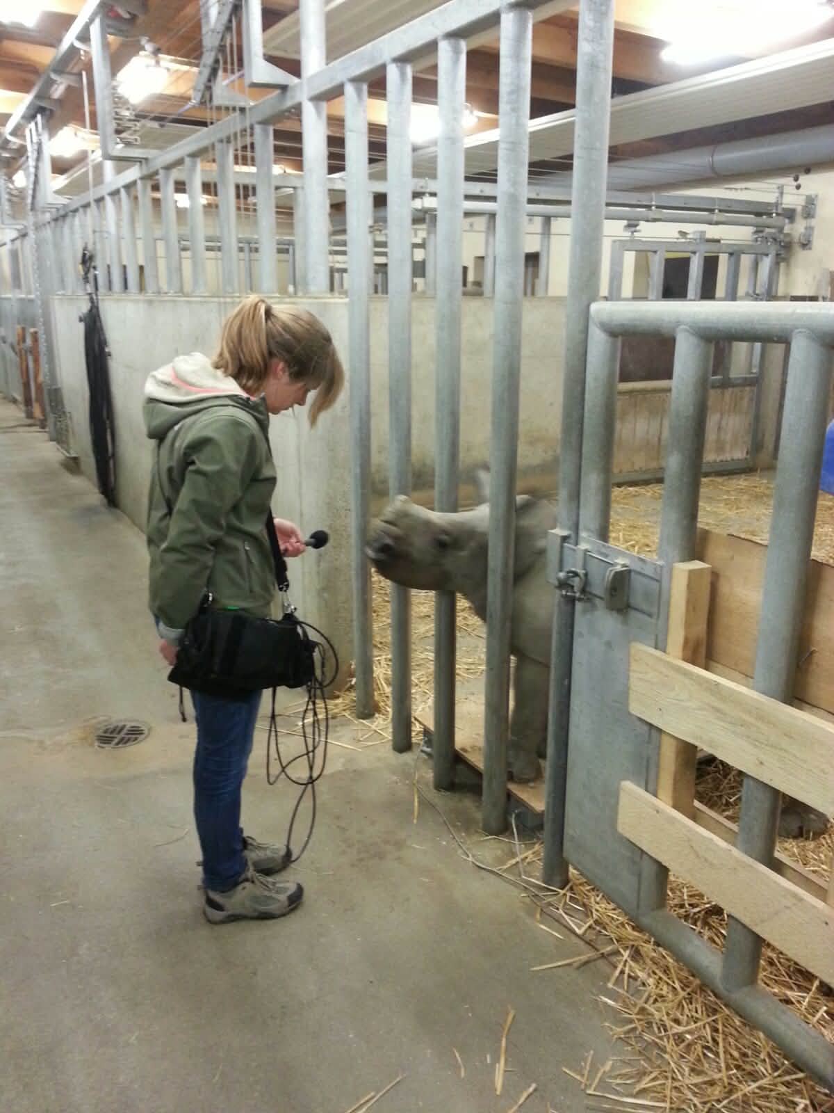Sabrina Linn mit Nashornbaby Kibo im Augsburger Zoo, er wurde mit der Flasche aufgezogen, weil seine Mutter ihn ablehnte