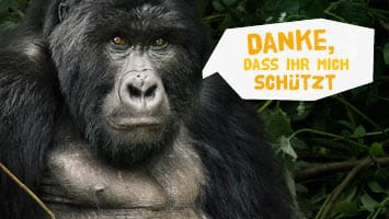 Gorilla mit Sprechblase "Danke, dass ihr mich schützt"