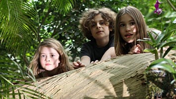 Lasst euch vom Dschungel überraschen! Drei Kinder hinter einem Baumstamm