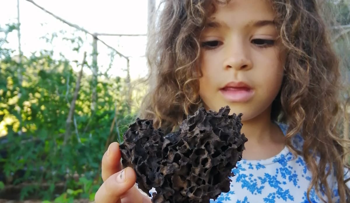 Danke, dass ihr uns dabei helft, neue Bäume zu pflanzen. Nayani hat ein Stück aus einem alten Termitenhaus gefunden. Auch damit kann man gut den Boden düngen, denn es enthält viele Nährstoffe Mädchen aus Brasilien betrachtet ein Termitenhaus in ihrer Hand.