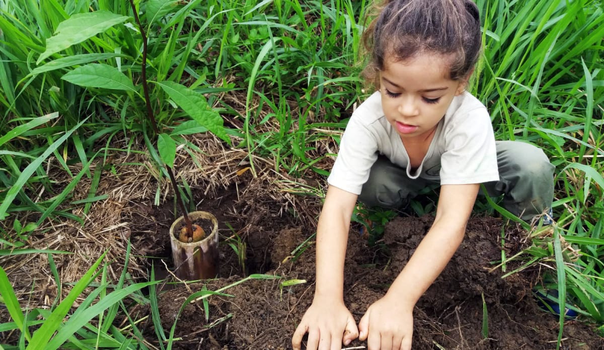 Nayani pflanzt ein junges Bäumchen Ein kleines Mädchen kniet auf dem Boden und setzt Bambustöpfchen mit junger Avocado-Pflanze in die Erde