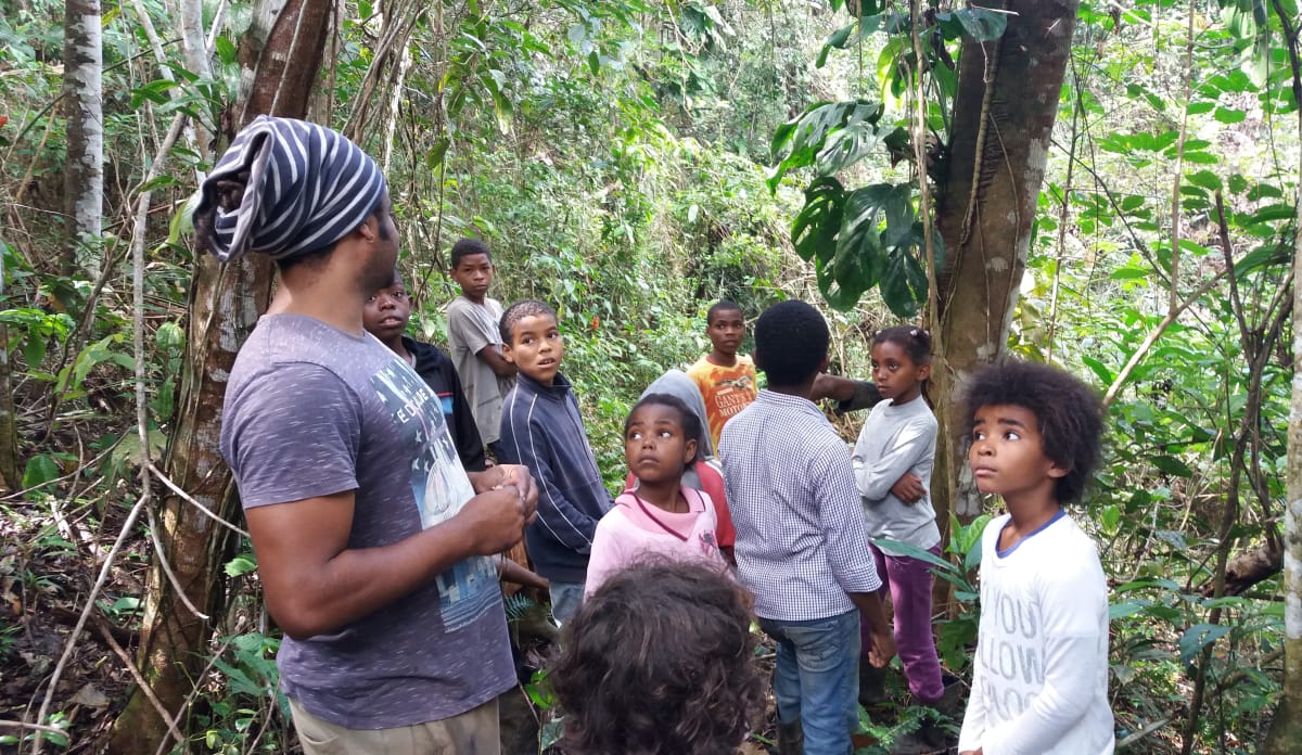 Im Wald lernen die Kinder die Bäume und Tiere kennen Im Wald lernen die Kinder die Baumarten kennen