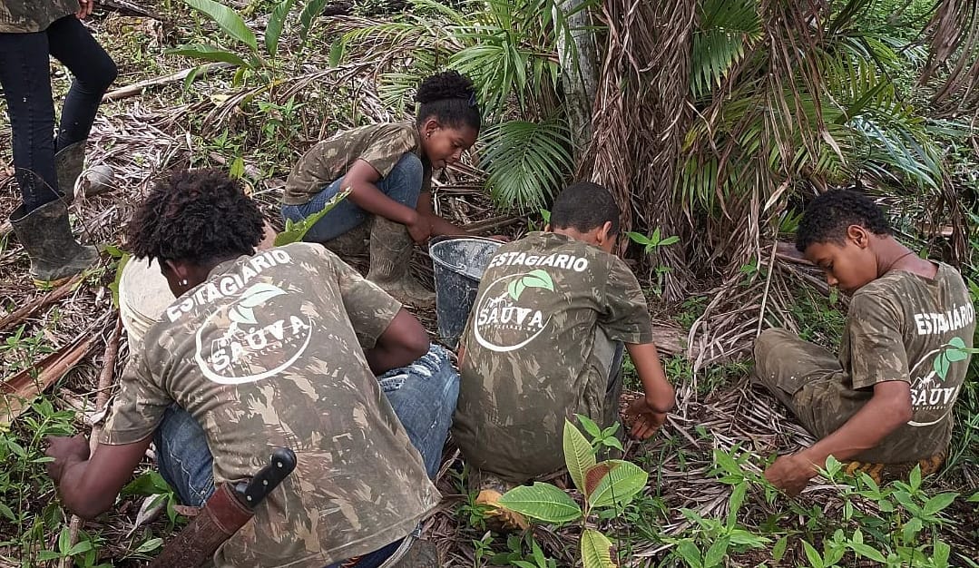 Caíque, Kailane, Gabriel und Daniel sammeln im Wald Samen von zehn verschiedenen Obstsorten 4 Kinder und Jugendliche hocken auf dem Waldboden unter einer Palme und sammeln Baumsamen in einen Eimer