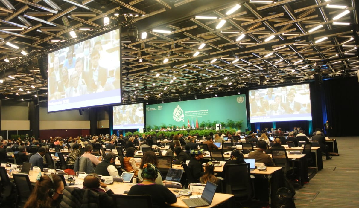 Veranstaltungsraum im Konferenz-Gebäude In einem großen Saal sitzen die Delegierten an langen Tischen, über ihren Köpfen und am Saalanfang hängen große Monitore, die die Redner zeigen