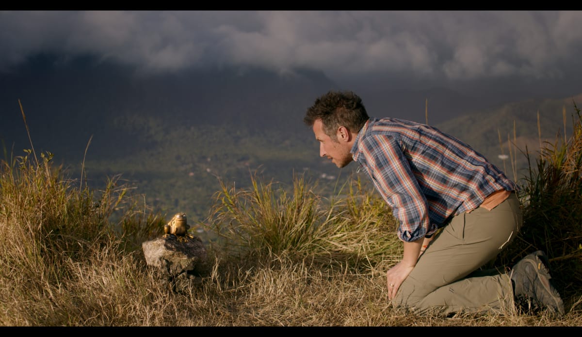 Willi lauscht den schlauen Tipps der Wunderkröte Willi kniet im Gras und lauscht einer dicken Kröte