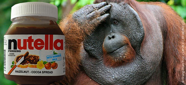 Gute Nachricht für Orang-Utans… - Abenteuer Regenwald
