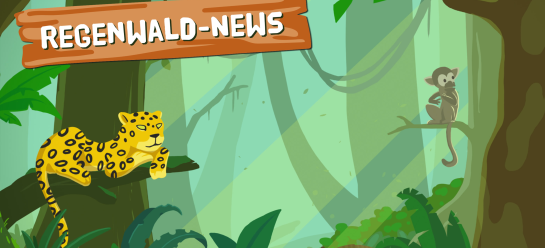 Tropischen Regenwalder Schatzkammern Des Lebens Abenteuer Regenwald