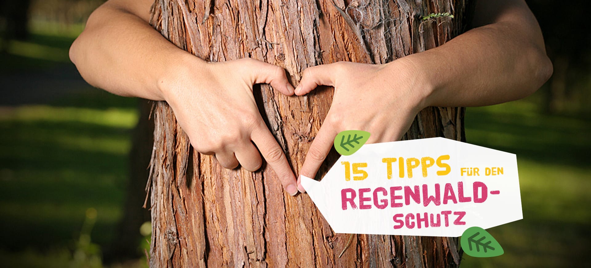Alltagstipps 15 wichtige Tipps für den Regenwaldschutz! Abenteuer