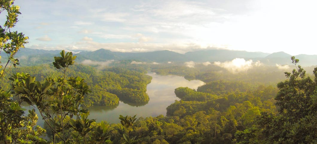 Der Regenwald in Malaysia Blick von oben auf einen Fluss, der durch den Regenwald fließt