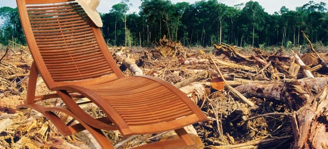Liegestuhl aus Tropenholz vor abgeholztem Wald mit grünem Wald im fernen Hintergrund