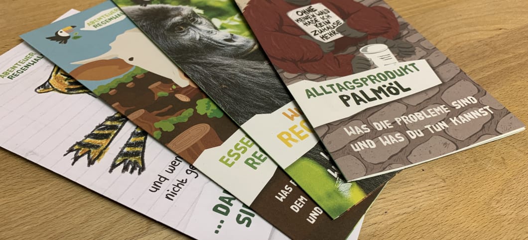 Regenwald-Flyer für Dich