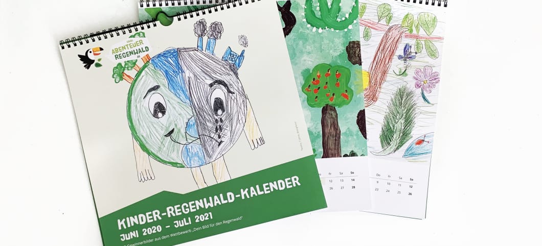 Erste Ansichten unseres Kalenders Ansicht der Kinder Regenwald-Kalender aus dem Wettbewerb Dein Bild rüttelt die Politiker wach