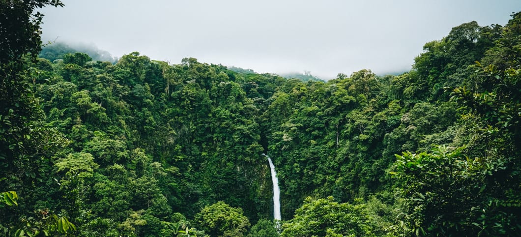 Ein üppiger Regenwald unter blaumen Himmel, aus dessen Mitte ein Wasserfall entspringt. 