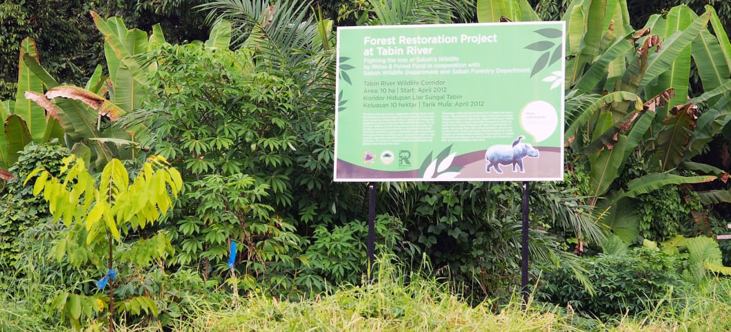 Schild mit aufgeforstetem Wald im Tabin-Schutzgebiet in Sabah