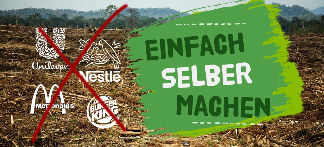Lieblingsspeise selber machen statt kaufen – eine gute Idee gegen Naturzerstörung