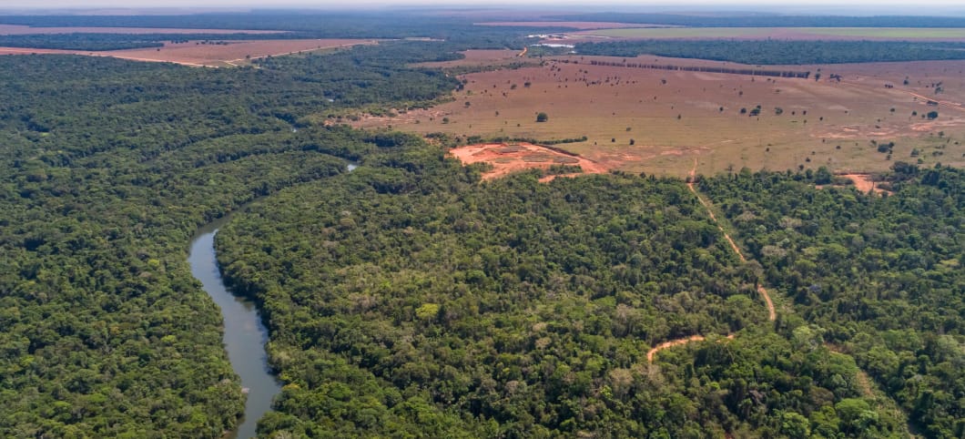Luftaufnahme eines mäandrierenden Amazonas-Nebenflusses, Straßen durch Regenwald und angrenzendes Agrarland im Amazonas-Regenwald. 
