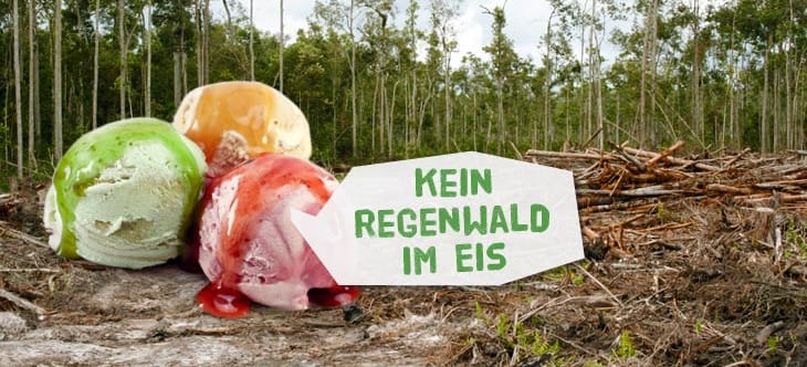 Selbstgemachtes Eis schmeckt gleich doppelt so gut!
