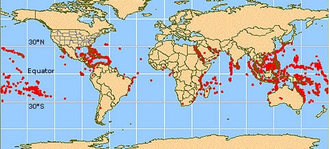 Die tropischen Korallenriffe liegen entlang des Äquators zwischen dem 30. nördlichen und dem 30. südlichen Breitengrad