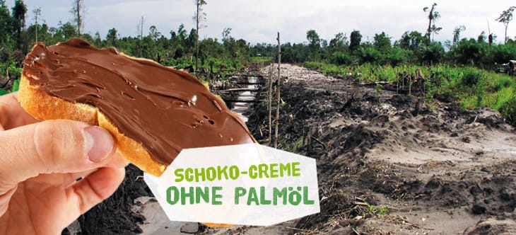 Nutellabrot vor zerstörtem Regenwald mit Aufschrift Schoko-Creme ohne Palmöl