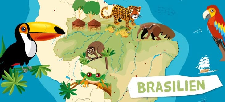 Illustrierte Karte von Brasilien, dem Regenwald und seinen Tieren