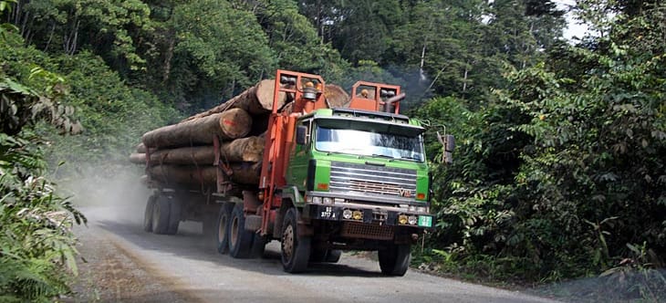 Lastwagen mit abgeholzten Regenwald-Baumstämmen
