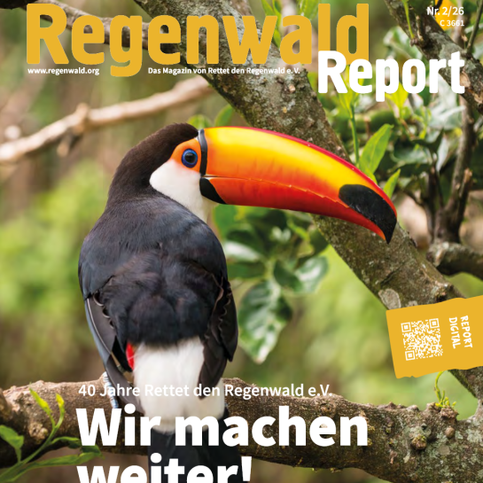 Auf dem Deckblatt des Magazins Regenwald Report ist ein Tukan abgebildet.