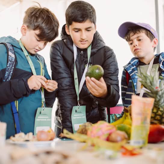 Ein Junge hat eine tropische Frucht in der Hand und betrachtet sie mit zwei weiteren Jungen.